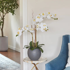 CG Hunter Artificial White Double Stem Orchid