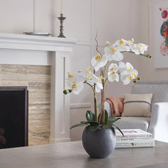 CG Hunter Artificial White Double Stem Orchid