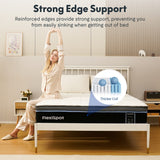 13" Premier Hybrid Mattress (U3)