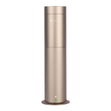 Free Diffuser Set