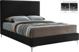 Geri Contemporary Velvet Bed with Stylish Piping and Versatile Gold & Chrome Legs for Modern Homes