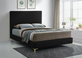 Geri Contemporary Velvet Bed with Stylish Piping and Versatile Gold & Chrome Legs for Modern Homes