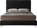 Geri Contemporary Velvet Bed with Stylish Piping and Versatile Gold & Chrome Legs for Modern Homes