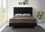 Geri Contemporary Velvet Bed with Stylish Piping and Versatile Gold & Chrome Legs for Modern Homes