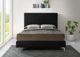 Geri Contemporary Velvet Bed with Stylish Piping and Versatile Gold & Chrome Legs for Modern Homes
