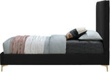 Geri Contemporary Velvet Bed with Stylish Piping and Versatile Gold & Chrome Legs for Modern Homes