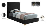 Geri Contemporary Velvet Bed with Stylish Piping and Versatile Gold & Chrome Legs for Modern Homes