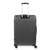 Check-In Luggage