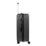 Check-In Luggage