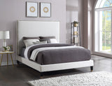 Harlie Velvet Bed - Chic Contemporary Design with Elegant Brass Nailheads & Sophisticated Style