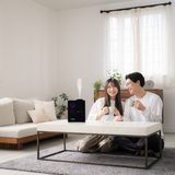Free Penthouse Scent Diffuser with Oil Deliveries