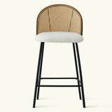 Jules 27.5" Modern Upholstered Rattan Counter Stool (Set of 4)