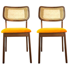 Hazel Mid-Century Modern Orange Velvet Solid Wood Dining Chair(Set of 2)