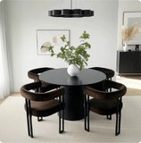 Mia Velvet Dining Chair with Arms (Set of 2)