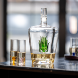 Tequila Decanter Tequila Glasses Set with Agave Decanter and 6 Agave Shot Glass