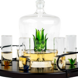 Tequila Decanter Tequila Glasses Set with Agave Decanter and 6 Agave Shot Glass