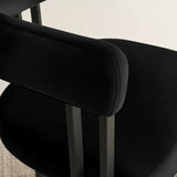 Mia Velvet Dining Chair with Arms (Set of 4)
