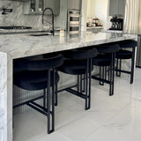 Mia 24" Modern Velvet Counter Stool with Arms (Set of 4)