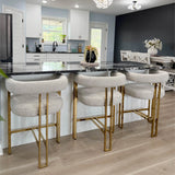 Mia 24" Modern Gold Chenille Counter Stool with Arms (Set of 2)