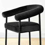 New York Modern Velvet Dining Chair (Set of 4)