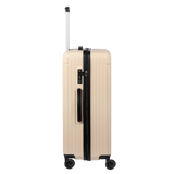 Check-In Luggage