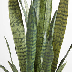 CG Hunter Artificial Snake Plant with Artisan Planter