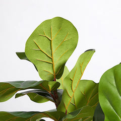 CG Hunter Artificial Fiddle Leaf Fig Tree with Artisan Planter