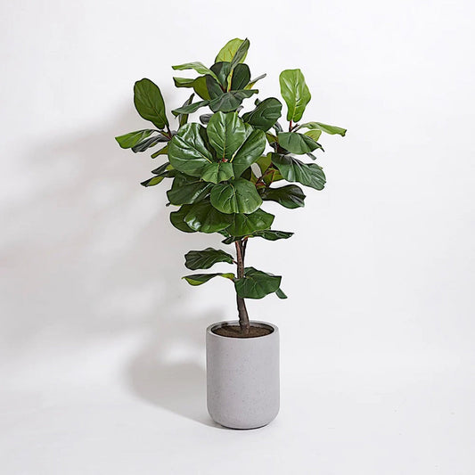 CG Hunter Artificial Fiddle Leaf Fig Tree with Artisan Planter