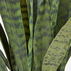 CG Hunter Artificial Snake Plant with Artisan Planter