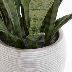 CG Hunter Artificial Snake Plant with Artisan Planter