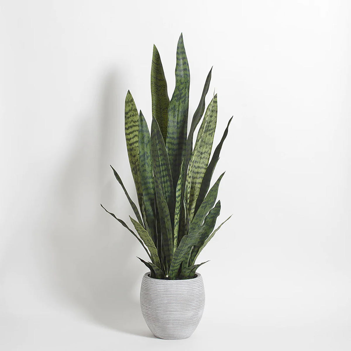 CG Hunter Artificial Snake Plant with Artisan Planter