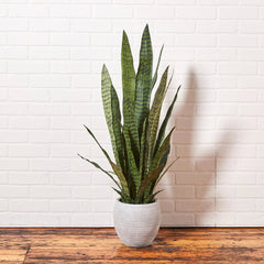 CG Hunter Artificial Snake Plant with Artisan Planter