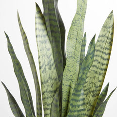 CG Hunter Artificial Snake Plant with Artisan Planter