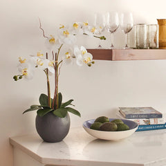 CG Hunter Artificial White Double Stem Orchid