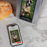 R180 Connect Plus Smart Toaster