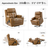 Walter Power Electric Lift Elderly Recliner(Optional Types)
