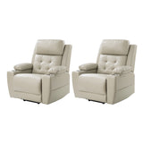 Walter Power Electric Lift Elderly Recliner(Optional Types)