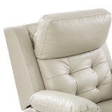 Walter Power Electric Lift Elderly Recliner(Optional Types)