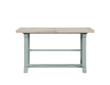Darcy 64-82"Counter Table with 18-inch leaf, Mint Green and Natural Finish