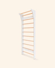 Wall bars