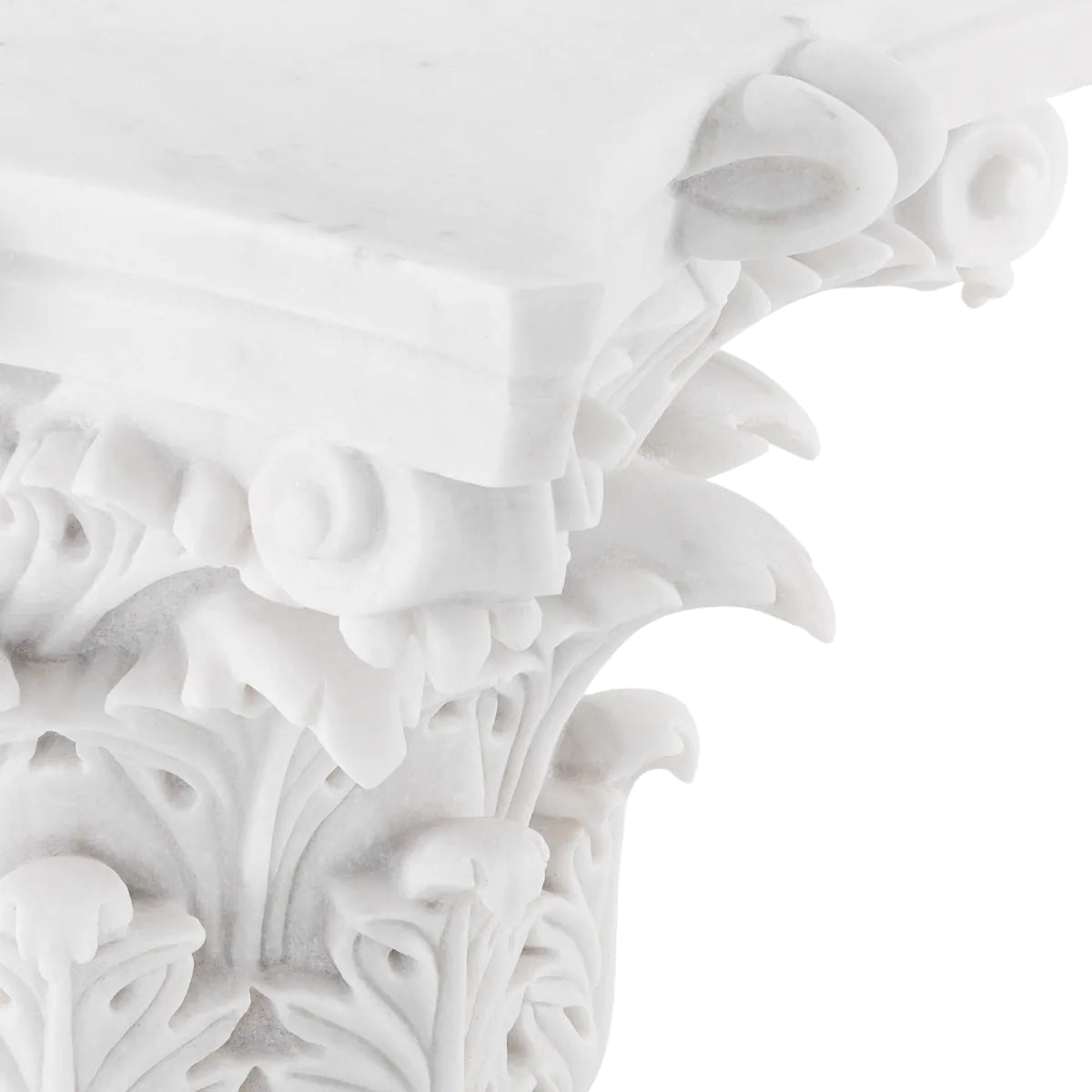 Coffee Table Acanthus