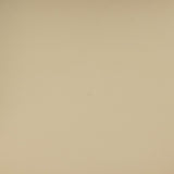 Betsy Taupe Contract-Grade Vegan Leather Dining Chair