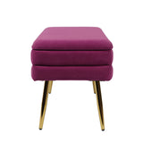 Ziva 31" Velvet Storage Bench