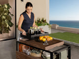 Transformer Outdoor Bar Cart - Panel Storage