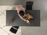 Transformer Dining Set - The Practical