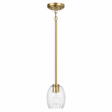 Vista Single Pendant Chain Hanging Light with Clear Glass - Satin Brass
