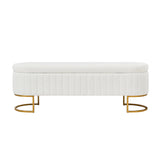 Hugo functional Storage Bench with Internal Compartments