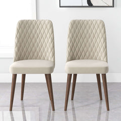 Katie Mid-Century Modern Velvet Dining Chair (Set of 2)