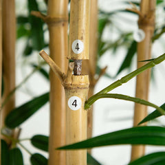 10’ Artificial Bamboo Tree with Real Bamboo Trunks