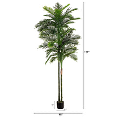 10’ UV Resistant Artificial Double Robellini Palm Tree (Indoor/Outdoor)